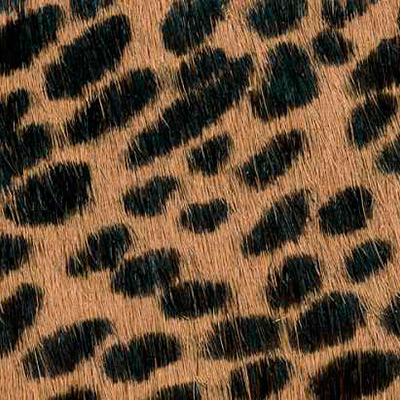 Cow hide hair - with patterns